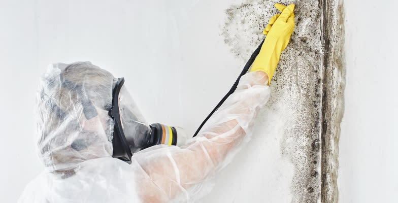 Mold Removal Stock mold removal Tennessee